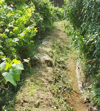 Feriehus Quinta Dos Castros Douro Baião