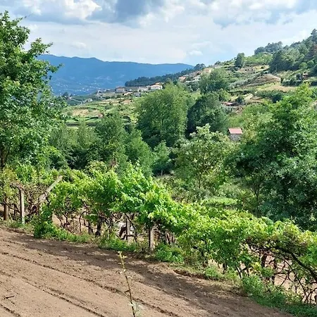 Quinta Dos Castros Douro Tatil Evi Baião