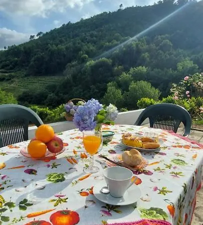 Feriehus Quinta Dos Castros Douro