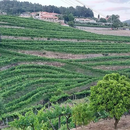 Tatil Evi Quinta Dos Castros Douro
