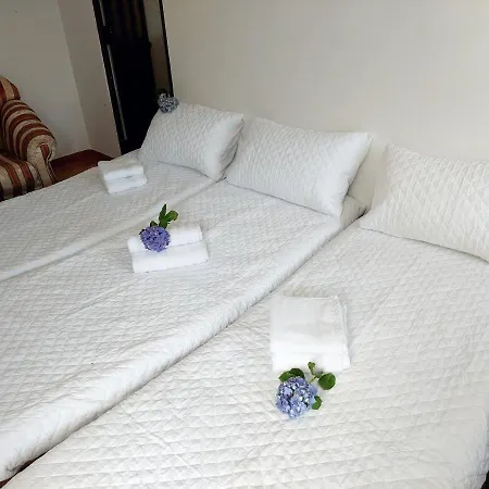 Quinta Dos Castros Douro Tatil Evi *