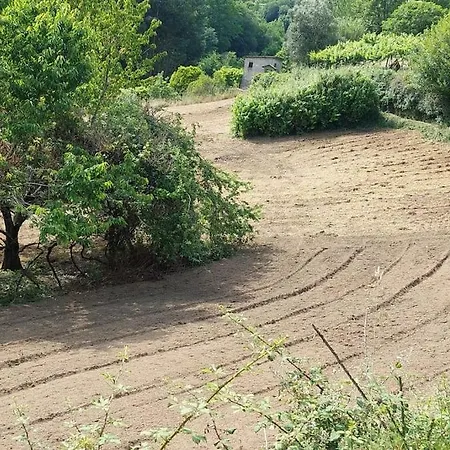 Quinta Dos Castros Douro Tatil Evi *