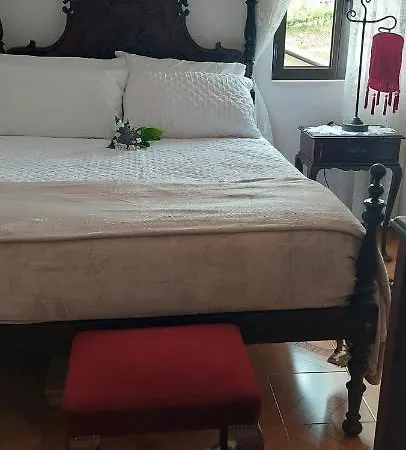 Quinta Dos Castros Douro Prázdninový dům Baião