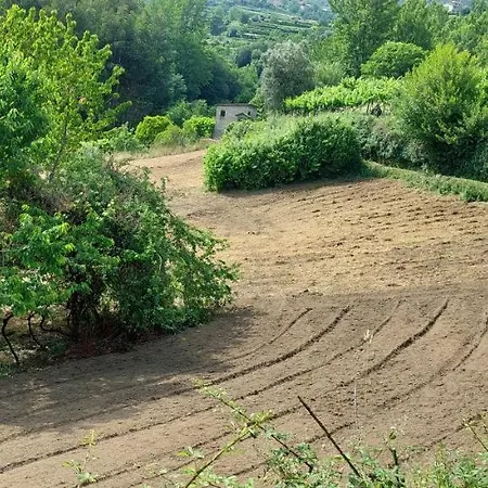 Prázdninový dům Quinta Dos Castros Douro Baião