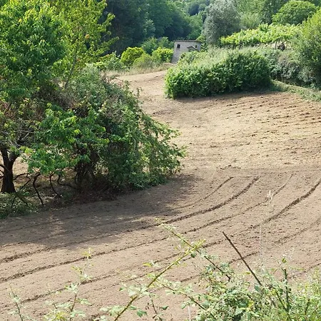 Quinta Dos Castros Douro 度假居 拜昂