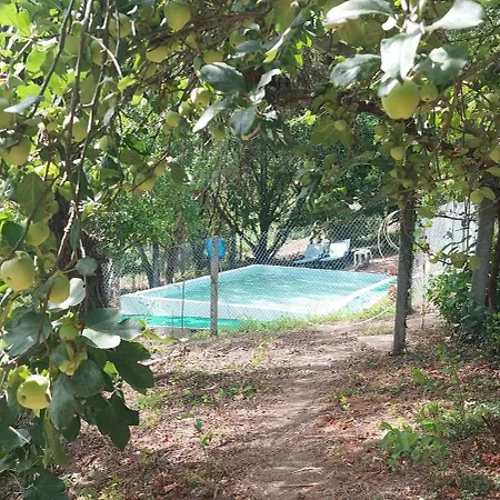 Quinta Dos Castros Douro 度假居 拜昂