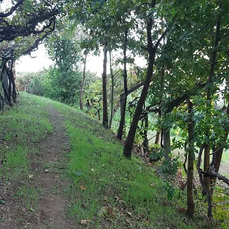 度假居 Quinta Dos Castros Douro *