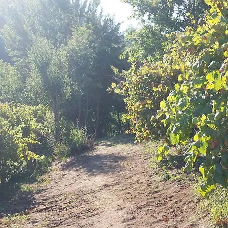 Quinta Dos Castros Douro 度假居