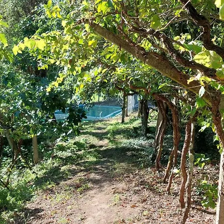 Quinta Dos Castros Douro * Baião