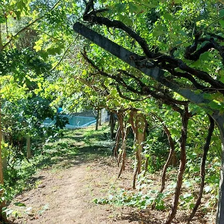 Quinta Dos Castros Douro Feriehus Baião