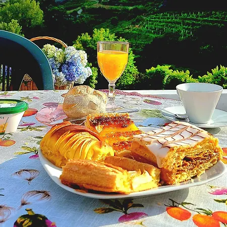 度假居 Quinta Dos Castros Douro 拜昂