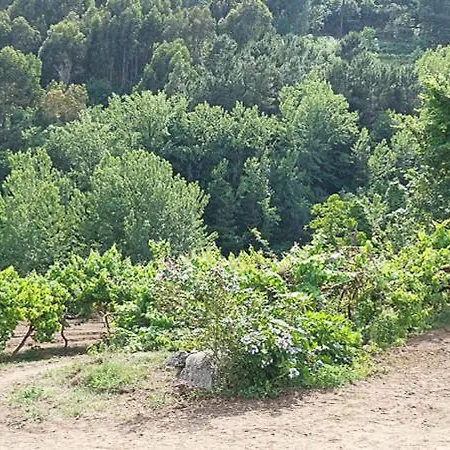 Quinta Dos Castros Douro Casa de Férias *