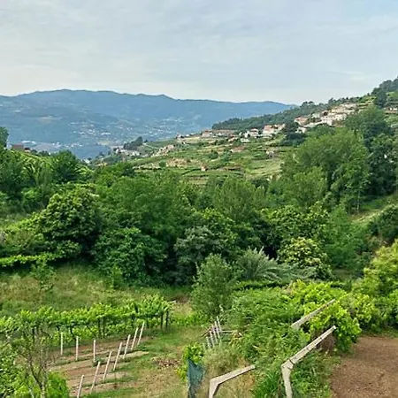 Quinta Dos Castros Douro * Baião