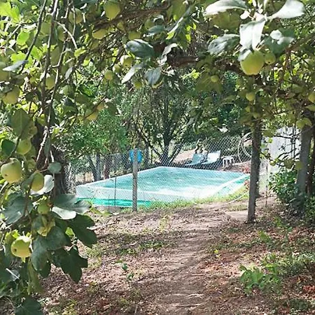 Tatil Evi Quinta Dos Castros Douro *