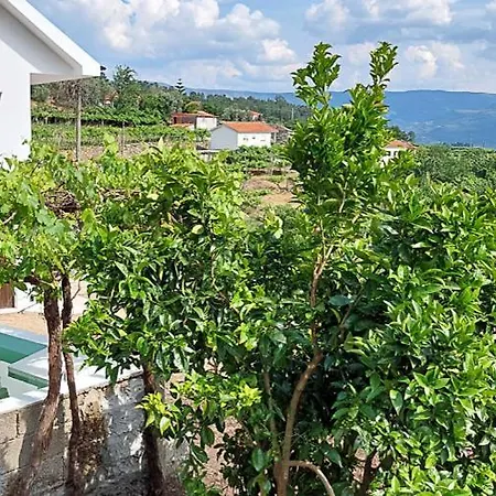 Quinta Dos Castros Douro Semesterbostad Baião