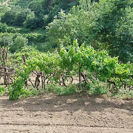 Quinta Dos Castros Douro