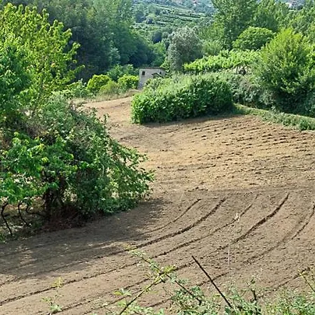 Feriehus Quinta Dos Castros Douro *