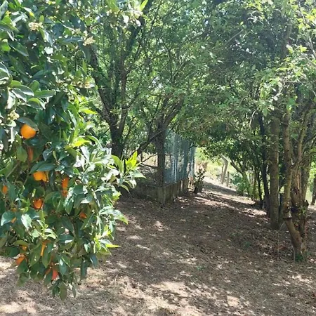 Quinta Dos Castros Douro *