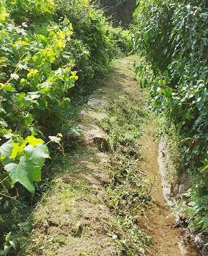 Σπίτι διακοπών Quinta Dos Castros Douro Baião