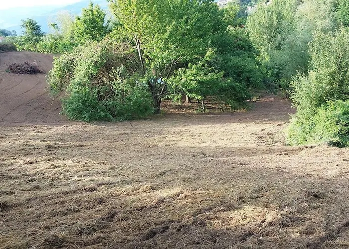 Quinta Dos Castros Douro Σπίτι διακοπών *