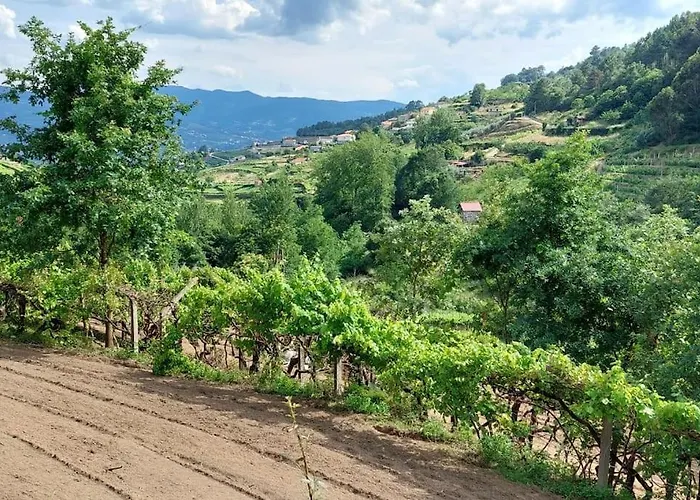 Quinta Dos Castros Douro Σπίτι διακοπών Baião