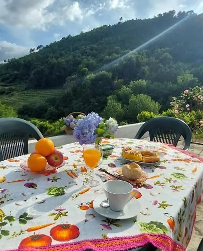 Σπίτι διακοπών Quinta Dos Castros Douro
