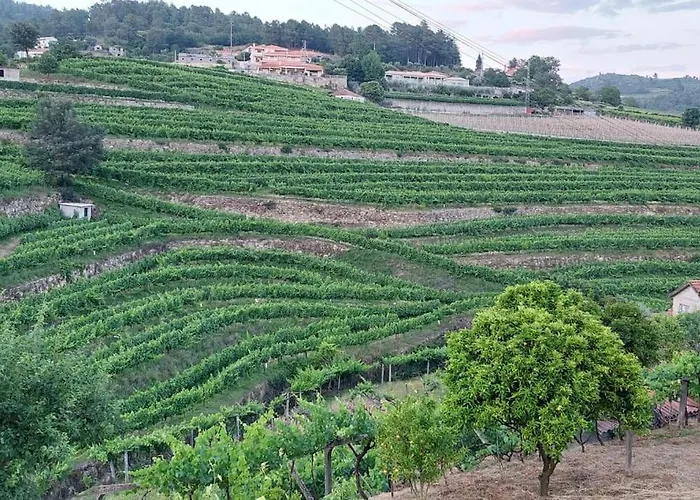Σπίτι διακοπών Quinta Dos Castros Douro