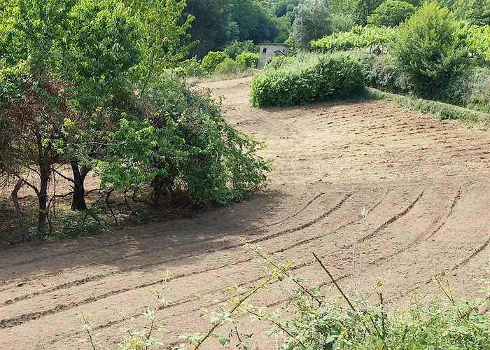 Quinta Dos Castros Douro Σπίτι διακοπών *