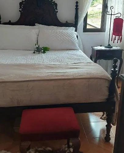 Quinta Dos Castros Douro Σπίτι διακοπών Baião