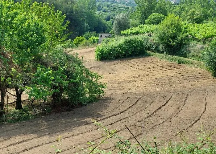 Hébergement de vacances Quinta Dos Castros Douro Baião