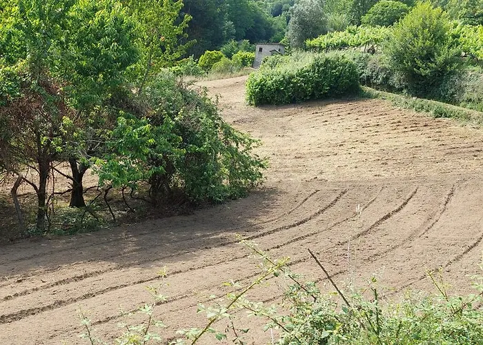 Quinta Dos Castros Douro Σπίτι διακοπών Baião