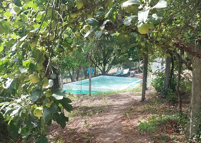 Quinta Dos Castros Douro Σπίτι διακοπών Baião