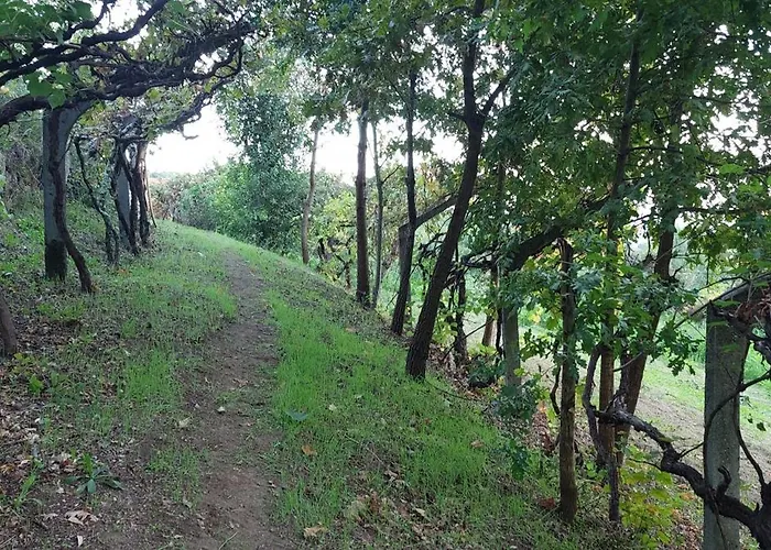 Σπίτι διακοπών Quinta Dos Castros Douro *