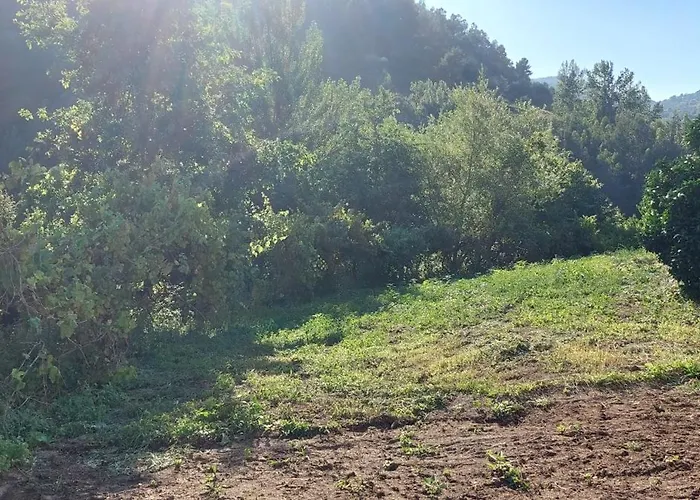 Quinta Dos Castros Douro Σπίτι διακοπών Baião