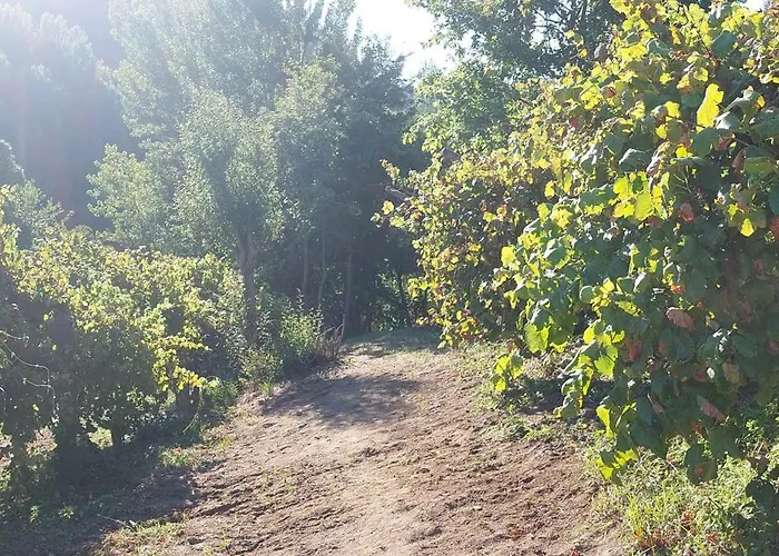 Quinta Dos Castros Douro Σπίτι διακοπών