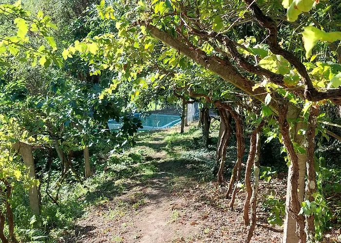 Quinta Dos Castros Douro * Baião