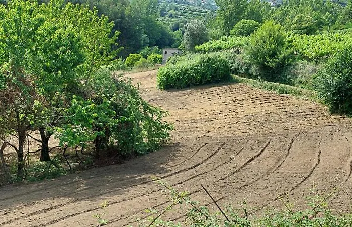 Σπίτι διακοπών Quinta Dos Castros Douro *