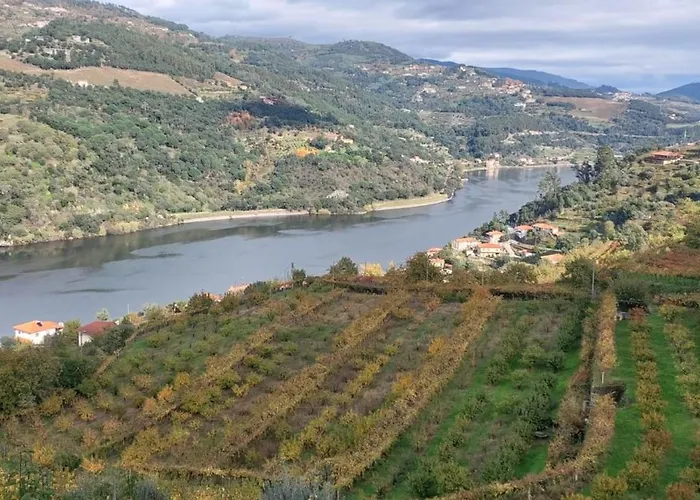 Σπίτι διακοπών Quinta Dos Castros Douro Baião