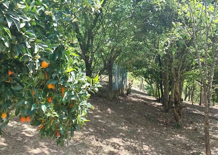 Quinta Dos Castros Douro *